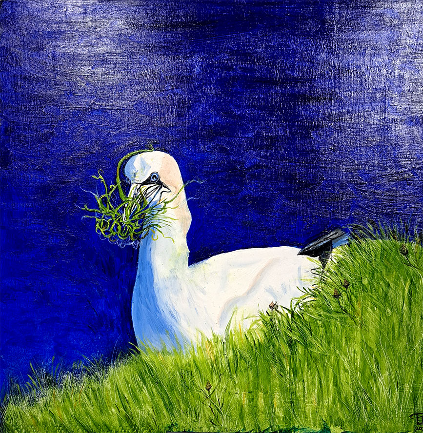 Bird painting in oils